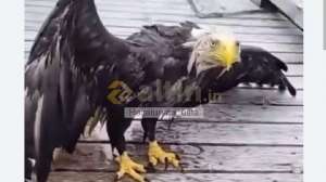 Ha�aturyan_usta, 10.8.2026 11:48:46 Tarihli Grafik