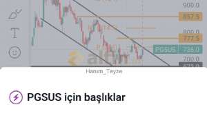Hanım_Teyze, 19.11.2023 13:04:13 Tarihli Grafik