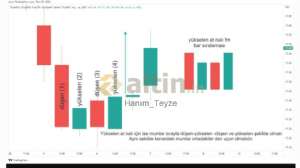 Hanım_Teyze, 7.11.2023 11:16:38 Tarihli Grafik