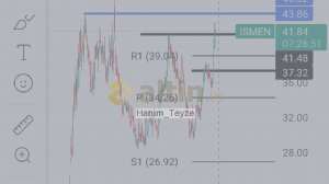 Hanım_Teyze, 22.5.2024 10:59:23 Tarihli Grafik