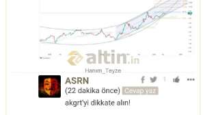 Hanım_Teyze, 21.6.2024 17:03:25 Tarihli Grafik