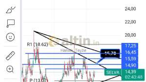Hanım_Teyze, 16.7.2024 15:41:50 Tarihli Grafik