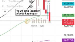 Hanım_Teyze, 21.3.2025 17:04:35 Tarihli Grafik