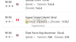 Vagabondboy, 7.2.2026 01:33:46 Tarihli Grafik