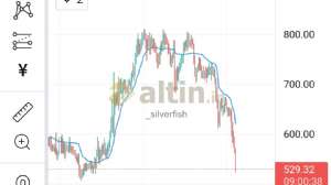 _silverfish, 14.9.2021 16:00:12 Tarihli Grafik