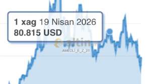 AMEDL�_E_Z_21, 11.6.2026 23:15:35 Tarihli Grafik