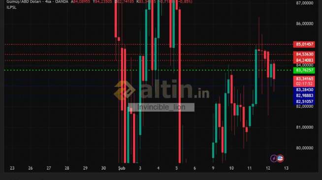 Invincible_lion, 12.2.2026 10:48:53 Tarihli Grafik