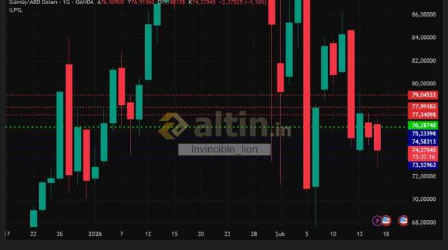 Invincible_lion, 17.2.2026 09:39:05 Tarihli Grafik