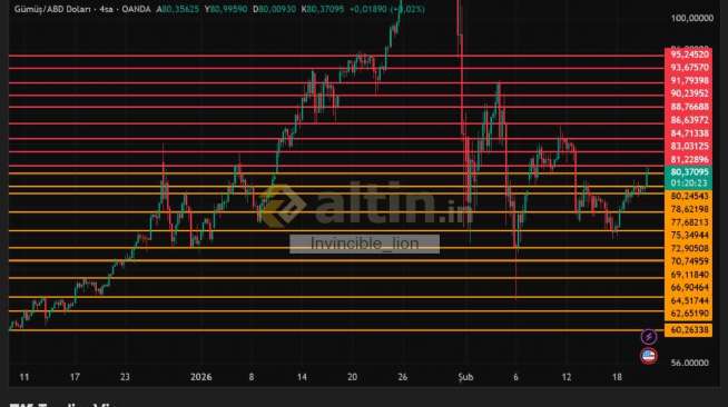 Invincible_lion, 20.2.2026 15:54:41 Tarihli Grafik