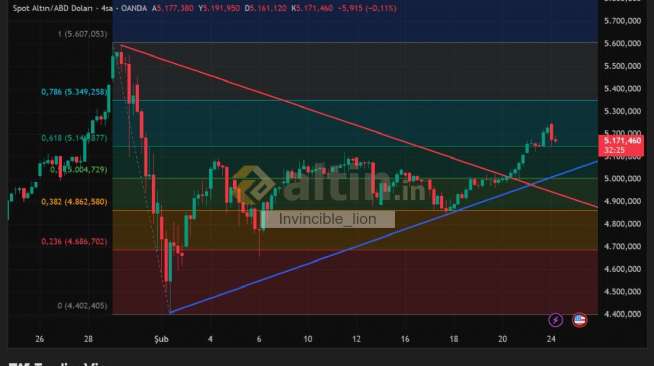 Invincible_lion, 24.2.2026 09:27:19 Tarihli Grafik