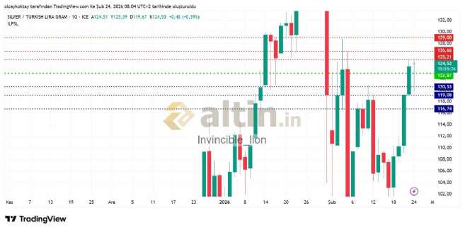 Invincible_lion, 24.2.2026 09:18:09 Tarihli Grafik