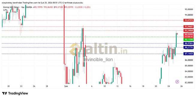 Invincible_lion, 25.2.2026 09:59:25 Tarihli Grafik