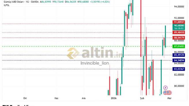 Invincible_lion, 25.2.2026 09:59:25 Tarihli Grafik