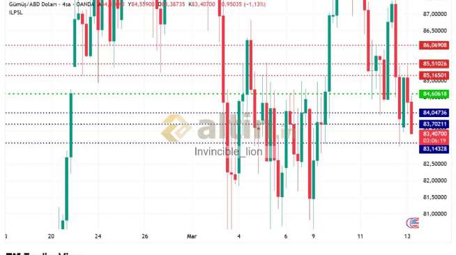 Invincible_lion, 13.3.2026 09:08:57 Tarihli Grafik