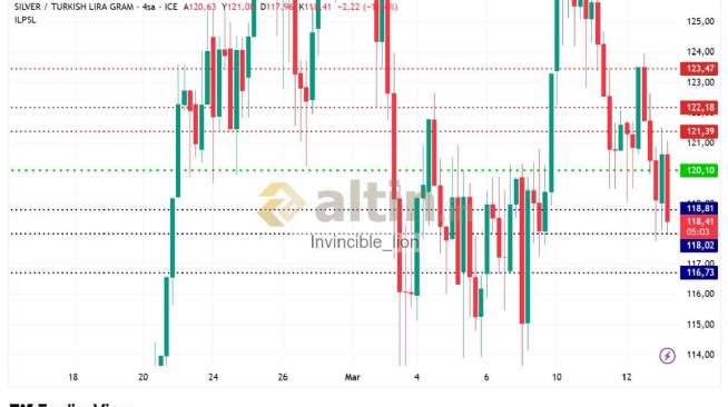 Invincible_lion, 13.3.2026 09:08:57 Tarihli Grafik