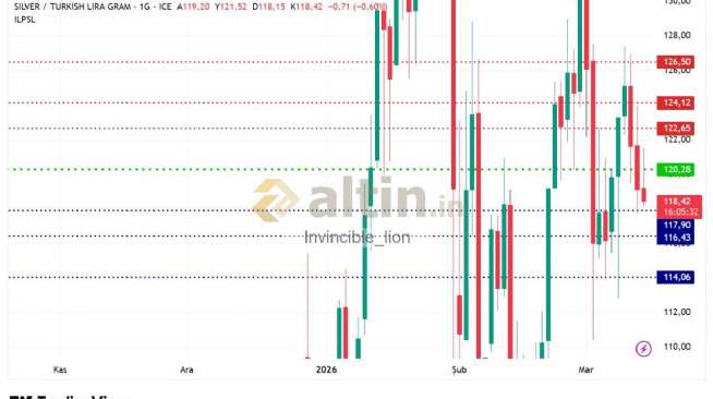 Invincible_lion, 13.3.2026 09:08:57 Tarihli Grafik