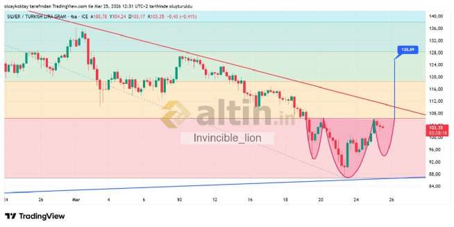 Invincible_lion, 25.3.2026 13:33:35 Tarihli Grafik