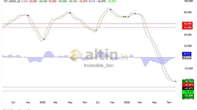 Invincible_lion, 4.8.2026 20:24:25 Tarihli Grafik