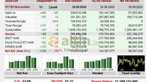 ALTINVURU38, 8.11.2024 20:28:45 Tarihli Grafik