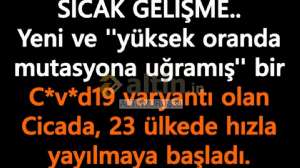 ALTINVURU�38, 3.4.2026 14:05:54 Tarihli Grafik