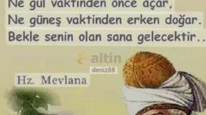 deniz88, 21.12.2023 21:55:23 Tarihli Grafik