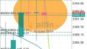 Aztoler3954, 29.7.2024 14:20:45 Tarihli Grafik