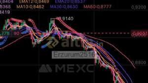 Erzurum2516, 17.4.2025 22:38:23 Tarihli Grafik