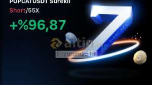 Erzurum2516, 25.4.2025 00:29:53 Tarihli Grafik