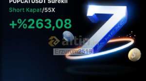 Erzurum2516, 25.4.2025 20:46:46 Tarihli Grafik