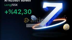Erzurum2516, 25.4.2025 11:53:06 Tarihli Grafik