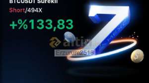 Erzurum2516, 29.4.2025 00:03:18 Tarihli Grafik