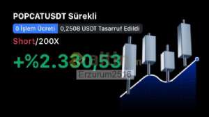 Erzurum2516, 12.5.2025 21:10:46 Tarihli Grafik