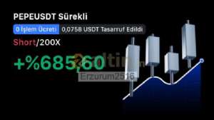 Erzurum2516, 12.5.2025 14:24:54 Tarihli Grafik