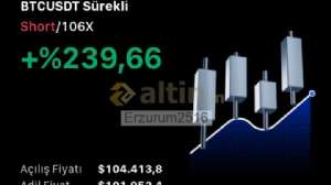 Erzurum2516, 12.5.2025 21:10:46 Tarihli Grafik