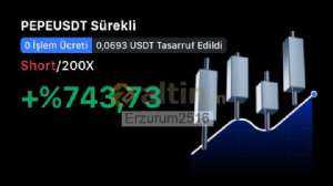 Erzurum2516, 12.5.2025 21:10:46 Tarihli Grafik
