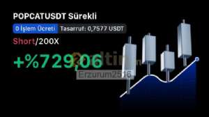 Erzurum2516, 9.5.2025 00:43:32 Tarihli Grafik