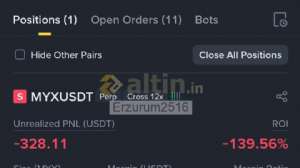 Erzurum2516, 8.9.2025 18:28:46 Tarihli Grafik