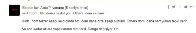 Auto, 31.1.2025 22:21:35 Tarihli Grafik