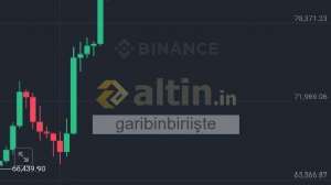 garibinbiriite, 11.11.2024 18:55:54 Tarihli Grafik