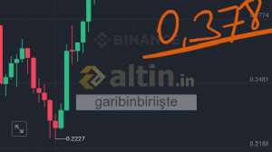 garibinbiriite, 20.11.2024 00:44:59 Tarihli Grafik