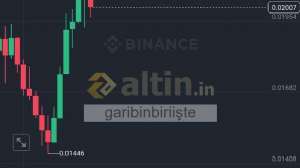 garibinbiriite, 20.11.2024 00:53:50 Tarihli Grafik