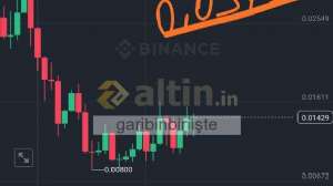 garibinbirii�te, 24.11.2024 02:12:28 Tarihli Grafik