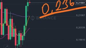 garibinbiriite, 22.10.2025 11:11:17 Tarihli Grafik