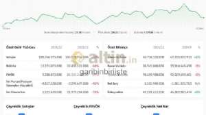 garibinbiriişte, 12.2.2025 22:44:59 Tarihli Grafik
