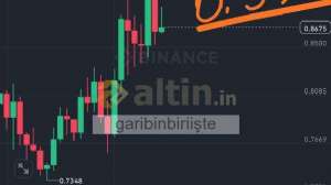 garibinbiriişte, 11.3.2025 14:06:16 Tarihli Grafik