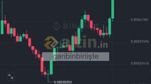 garibinbiriişte, 1.3.2025 01:08:24 Tarihli Grafik