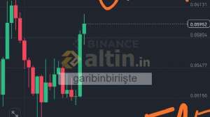 garibinbiriişte, 17.3.2025 15:08:10 Tarihli Grafik