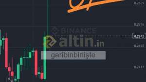 garibinbiriişte, 18.3.2025 22:10:47 Tarihli Grafik