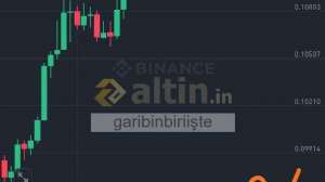 garibinbirii�te, 19.3.2025 14:46:50 Tarihli Grafik