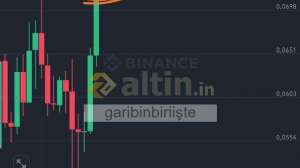 garibinbiriişte, 1.3.2025 01:10:40 Tarihli Grafik